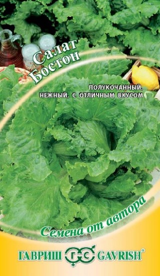 Семена. Салат «Бостон», 0,5 г