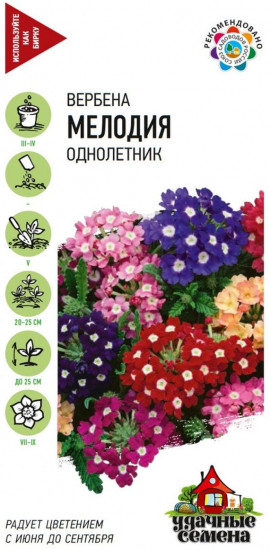 Семена. Вербена «Мелодия», 0,1 г