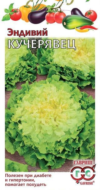 Семена. Эндивий «Кучерявец», 0,1 г | Пряно-ароматические травы | Гавриш