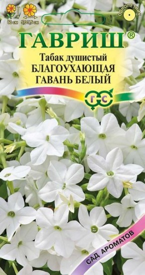 Табак «Благоухающая гавань белый F1»