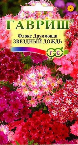 Семена. Флокс Друммонди «Звездный дождь», 0,1 г