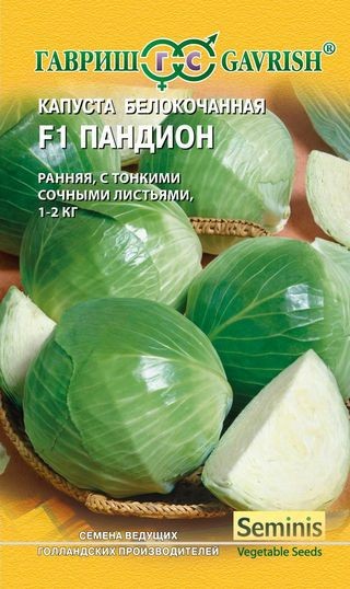 Капуста белокочанная «Пандион F1» (Голландия), 10 шт