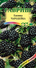Семена. Ежевика «Чародейка», 10 шт