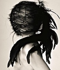Stoppers: Photographs from My Life at Vogue