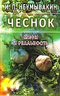 Чеснок: Мифы и реальность