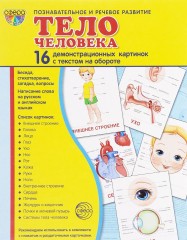 Тело человека. 16 демонстрационных картинок