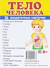 Тело человека. 16 раздаточных карточек с текстом