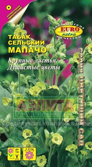 Семена. Табак сельский «Мапачо», 0,005 г