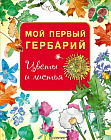 Мой первый гербарий. Цветы и листья