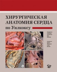Хирургическая анатомия сердца по Уилкоксу