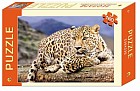 Пазл «Леопард», 160 элементов