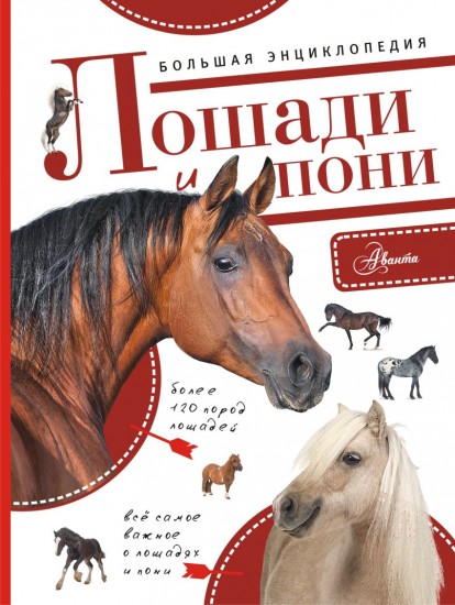 Лошади и пони
