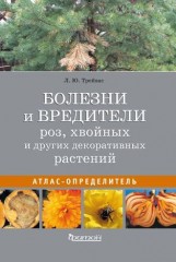 Болезни и вредители роз