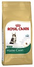 Корм для кошек Royal Canin «Kitten 36» (2 кг)