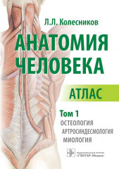 Анатомия человека. Атлас в 3 томах. Том 1