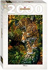 Пазл «Леопард» 2000 элементов