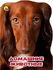 Мир животных. Домашние животные