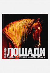 Лошади