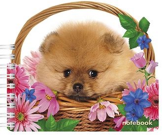 Блокнот с фигурной высечкой (60 листов формата А6 на гребне) | Щенок в корзинке | Hatber