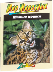 Малые кошки