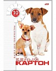 Картон белый, 10 листов