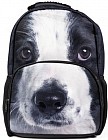 Рюкзак школьный «Puppy»