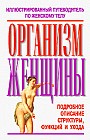 Организм женщины