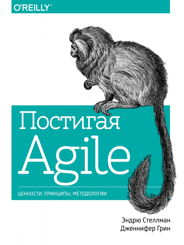 Постигая Agile. Ценности, принципы, методологии | Бизнес