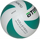 Мяч волейбольный