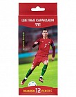 Карандаши цветные (12 цветов)