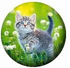 Мяч «Пушистик» (23 см)