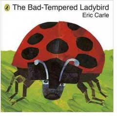 Bad-tempered Ladybird