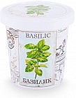 Набор для выращивания «Базилик»