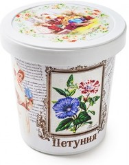 Набор для выращивания «Петуния»