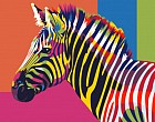 Раскраска по номерам «Радужная зебра»