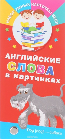 Английские слова в картинках