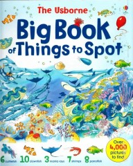 Usborne big book of things to spot