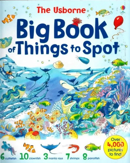 Usborne big book of things to spot