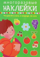 Что растет в лесу, в огороде, на лугу