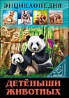 Детеныши животных