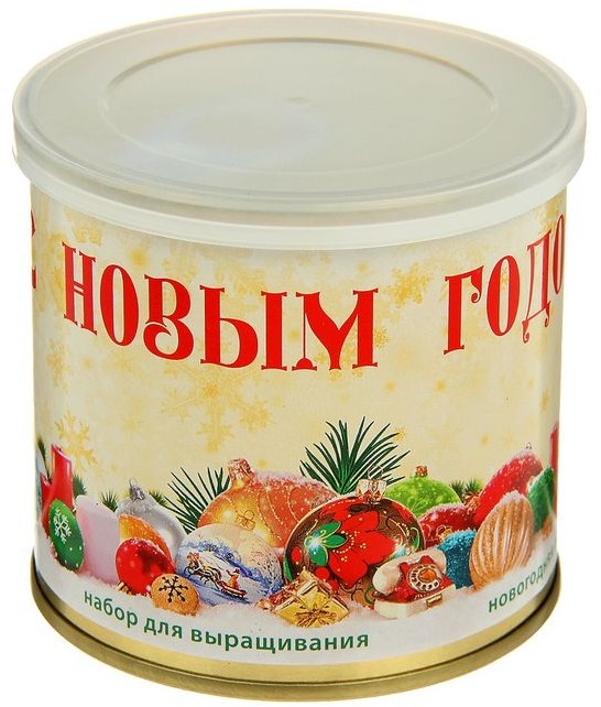 Набор для выращивания «Новогодняя пихта» | С новым годом! | Bontiland