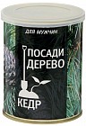 Набор для выращивания «Кедр»