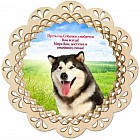 Поднос «Взрослый маламут»