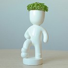 Набор для выращивания «Футболист»