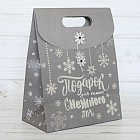 Пакет с клапаном (18х23х10 см)