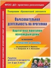 Образовательная деятельность на прогулках.