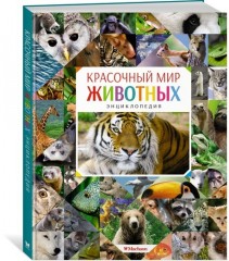 Красочный мир животных