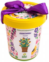 Набор для выращивания «Анютины глазки»