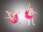 Елочное украшение «Па де де аллегро», в ассортименте