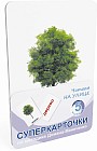 Набор карточек «Читаем на улице» (выпуск 5)